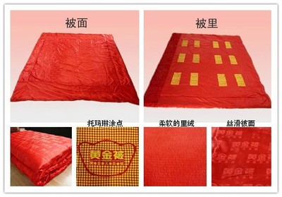 黄金火灸被会销最佳礼品,天津百年堂厂家图片_高清图_细节图-天津桂芝堂 -